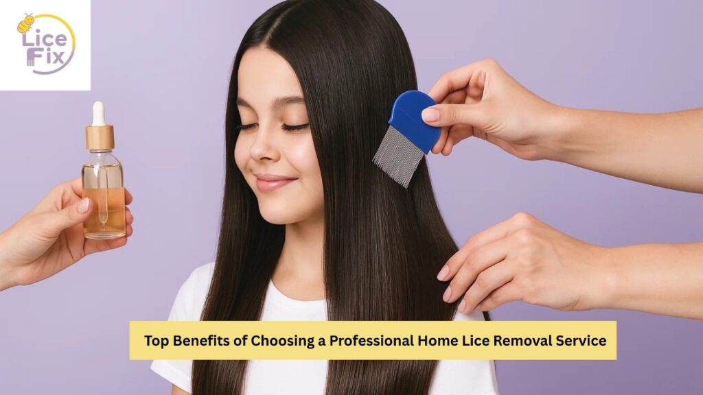 Professional Home Lice Removal Service