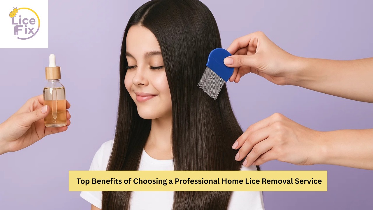 Professional Home Lice Removal Service