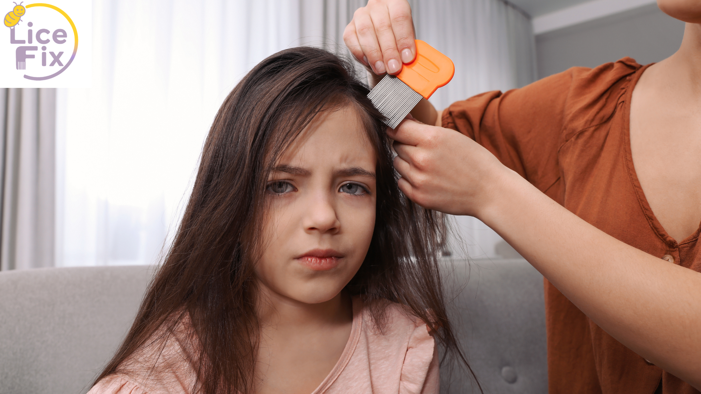 Home Lice Removal Service