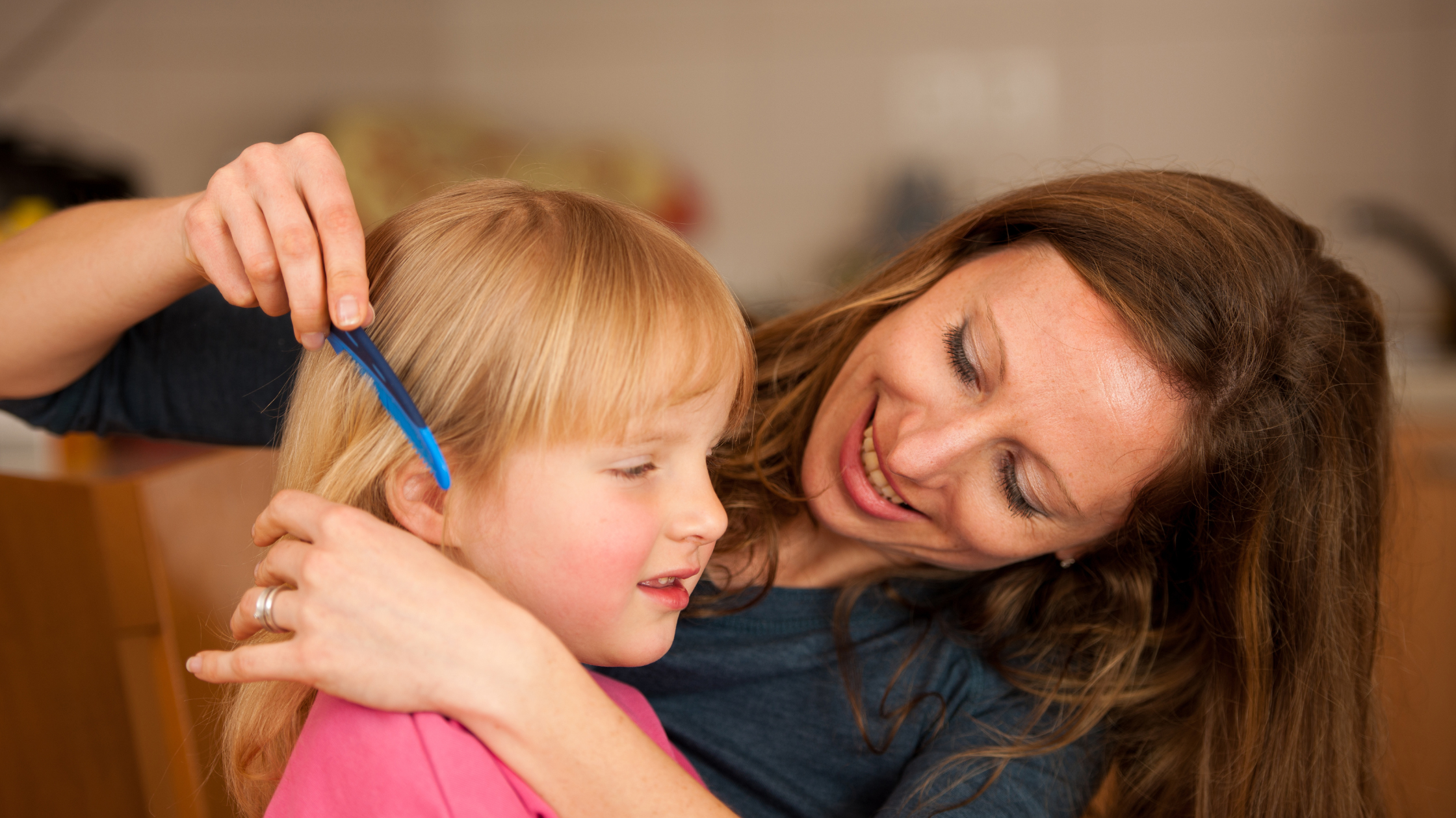 Life Cycle of Head Lice Why Treatment Needs Follow-Up