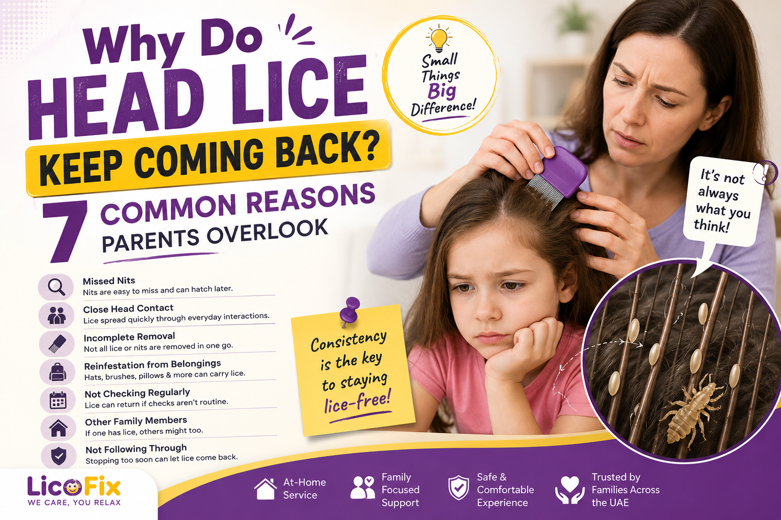 Why do head lice keep coming back?